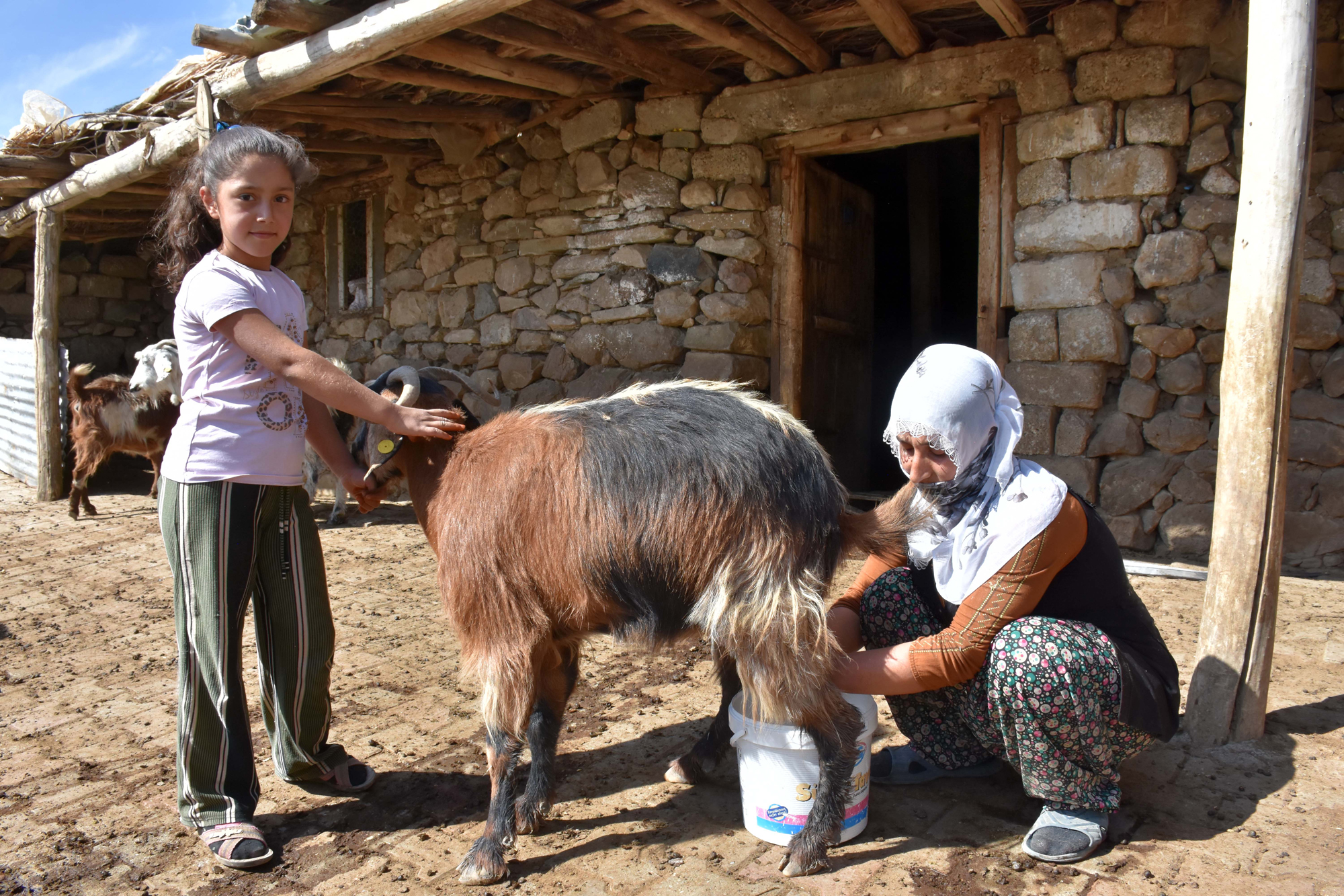 Erotika: Ruslar rus estradasi yulduzlarini sikishmoqda